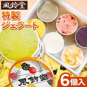 【ふるさと納税】 特製ジェラート 100g 6個 計 600g レギュラーセット | きみつ みるく チョコレート 千葉 ぴーなっつ 大吟醸酒粕 はちみつレモン ラムレーズン 送料無料 ジェラテリア 風鈴堂