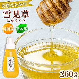 【ふるさと納税】 純国産 「雪見草(ユミソウ) はちみつ」260g 1本 | 国産 無添加 Bee concierge プラスチックチューブ入り ビーコンシェルジュ 斉藤兄弟 単花はちみつ専門 君津市 きみつ 千葉県