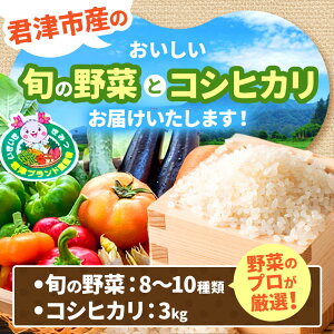 【ふるさと納税】新米 君津市産 季節の野菜8〜10種類 季節の野菜まごころBOX & 君津市産 令和7年産 コシヒカリ 精米 3kg | 野菜 詰め合せ 送料無料 JAきみつ味楽囲(みらい)さだもと店 人気の