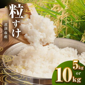 【ふるさと納税】 新米 【 選べる容量 】令和7年産 君津産 粒すけ 5kg or 10kg 米 コメ こめ お米 粒すけ 千葉県産 千葉県 君津市 きみつ JAさだもと