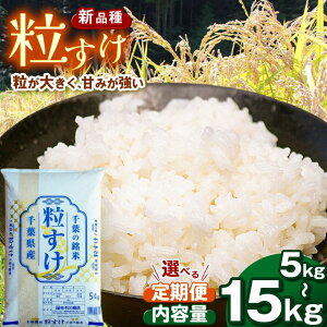 yӂ邳Ɣ[Łz V ߘa7NY   5kg`15kg 1E3E6 Iׂ鐔 Iׂ |   IWiVi 嗱̂H 悢SCƒe ĂƎG̐