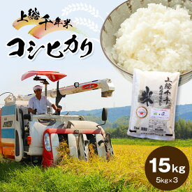 【ふるさと納税】令和5年産 米 15kg 上総千年米 コシヒカリ | 送料無料 お米のソムリエ が 厳選 白米 精米 粒立ちが大きく 甘みもあり 粘り強い 君津市産 お米と雑穀の専門店 石川商店 君津 きみつ 千葉