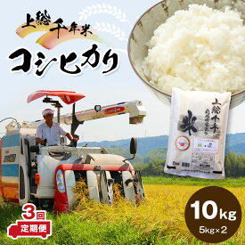 【ふるさと納税】 米 定期便 上総千年米 コシヒカリ 10kg × 3ヶ月 送料無料 計30kg 令和5年産 お米のソムリエが厳選 白米 精米 粒立ちが大きく 甘みもあり 粘り強い お米と雑穀の専門店 石川商店 君津市 きみつ 千葉県