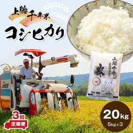 【ふるさと納税】 米 定期便 上総千年米 コシヒカリ 20kg × 3ヶ月 | 送料無料 計60kg 令和5年産 お米のソムリエが厳選 白米 精米 粒立ちが大きく 甘みもあり 粘り強い お米と雑穀の専門店 石川商店 君津 きみつ 千葉