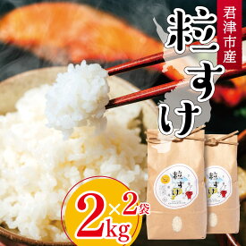 【ふるさと納税】 精米 令和7年産 君津市産 粒すけ 2kg × 2袋 計4kg | 穴太商店 米 こめ お米 白米 大つぶ 千葉県のブランド米 千葉県 君津市