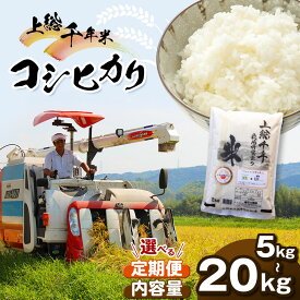 【ふるさと納税】 新米 令和7年産 上総千年米 コシヒカリ 5kg～20kg 1回・3回 ・6回 選べる数量 と 回数 定期便 | 送料無料 お米のソムリエ 厳選 白米 精米 粒が大きい 甘み 粘り強い お米と雑穀の専門店 国際支援 石川商店 君津 きみつ 千葉