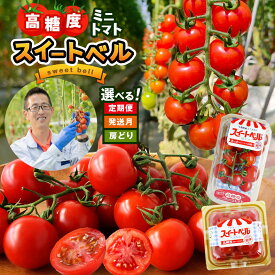 【ふるさと納税】【 選べる 配送月・選べる 回数 】 定期便 11月以降発送 高糖度 ミニトマト スイートベル 房どり 180g × 10P ヘタなし 150g × 12P 各種 1回～9回 | 君津とまとガーデン トマト とまと プチトマト 3回 6回 9回 イチオシ 千葉県 君津市