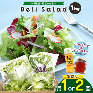 yӂ邳Ɣ[Łzy Iׂ 1 or 2 z T_~bNX _ fT_ ^ Deli Salad  hbVO or Wt Zbg 1kg | AO[h  T_ y ~bNX mn[u