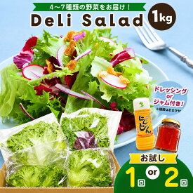 【ふるさと納税】 サラダミックス 1kg 【 選べる回数 1回 or 2回 】 お試し デリサラダ Deli Salad ★ ドレッシング or ジャム付き セット | アグリード お試し サラダ お手軽 ミックス野菜 西洋ハーブ 個別包装 新鮮 美しい野菜 水耕栽培 イチオシ 千葉県 君津
