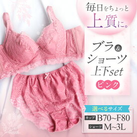 【ふるさと納税】選べるサイズ ブラ＆ショーツ 上下セット ピンク | 女性用下着 レディース ブラ＆ショーツ ブラ ショーツ ピンク 上下セット 君津市 きみつ 千葉県
