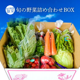 【ふるさと納税】野菜 農産物 旬 詰め合わせ BOX お楽しみ 国産 千葉県産 詰め合わせ セット JAきみつ 農家のこだわり