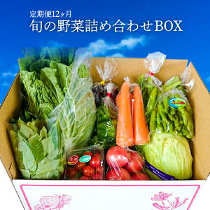 yӂ邳Ɣ[Łz {  VN lߍ킹  12 1 v12 1N Zbg t Y nY _Y _앨 BOX Yn l y JA g[TreB 2026N1