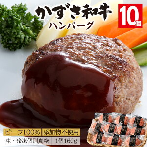 yӂ邳Ɣ[Łza no[O   јa Y  a 160g 3 5 10  Ⓚ ^pbN uha I[r[t   ϔ  lߍ킹 y 