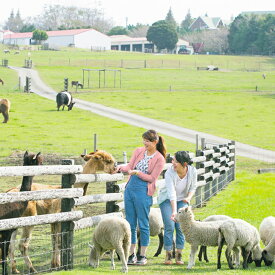 楽天市場 ふるさと納税 マザー牧場 カタログギフト チケット の通販