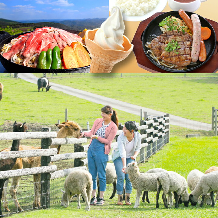 楽天市場 ふるさと納税 マザー牧場 入場券 食事券 ソフトクリーム 引換券 ペア 2名 観光牧場 動物 花畑 アトラクション イベント 自然 イルミネーション ステーキ ソーセージ ジンギスカン 牛乳 家族 ファミリー カップル 子ども 千葉県 富津市 送料無料 体験