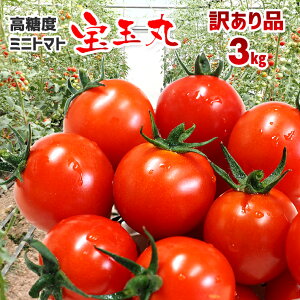 yӂ邳Ɣ[Łz󂠂 ~jg}g g}g x 3kg  Ƃꂽ VN ǂ ǂ ̂ ʊ  w^Ȃ Ԍ  ʌ 퉷 Yn _ƒ YҒ 