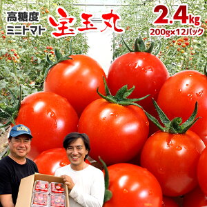 yӂ邳Ɣ[Łz~jg}g g}g x 1.6kg 8pbN 2.4kg 12pbN 1pbN200g  Ƃꂽ VN ǂ ǂ ̂ ʊ Ԍ  ʌ 퉷 ① Yn _