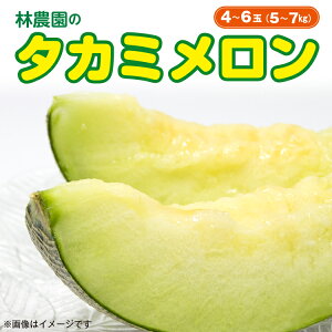 �y�ӂ邳�Ɣ[�Łz������ �^�J�~������ �M�� �� �t���[�c �ʕ� �������� 4�`6�� ��5�`7kg �������� �l�C ���Y �{ ��s�\�� ���Ԍ��� ��s��t ���ʌ��� �M�������� �� ���Y 2026�N 6�������� 