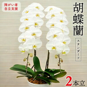 yӂ邳Ɣ[Łz Ӓ R`E 1{ 2{   X^_[h A Ⴊ x i p Mtg 蕨 v[g j j JXj AEj 