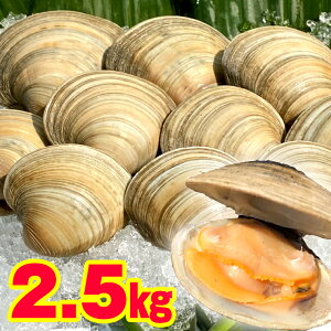 ふるさと納税 貝 その他の魚介類の人気商品 通販 価格比較 価格 Com