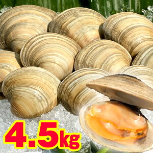 ふるさと納税 貝 その他の魚介類の通販 価格比較 価格 Com