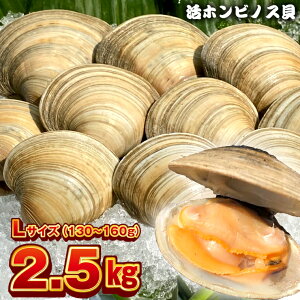 はまぐり 1kg 食品の人気商品 通販 価格比較 価格 Com