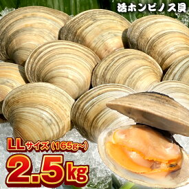 楽天市場 ふるさと納税 その他 貝類 魚介類 水産加工品 食品の通販