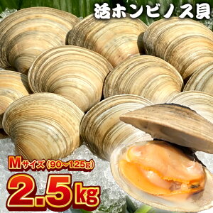 はまぐり 1kg 食品の人気商品 通販 価格比較 価格 Com