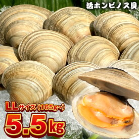 楽天市場 ホンビノス貝の通販