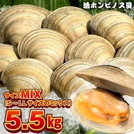 【ふるさと納税】白はまぐり あさり 浜焼き ホンビノス貝 計4.5kg 5.5kg サイズ ミックス いろいろ BBQ バーベキュー アウトドア キャンプ 漁師直送 産地直送 海鮮 貝 シーフード クラムチャウダー パスタ 天ぷら 酒蒸し 千葉県 富津市 送料無料 冷蔵 国産 容量選べます