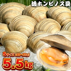 yӂ邳Ɣ[ŁzL zrmX  ͂܂  v1.5kg 2.5kg 3.5kg 4.5kg 5.5kg S M L LL ①  CN V[t[h Y lĂ BBQ o[xL[ AEghA Lv t Yn