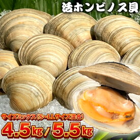【ふるさと納税】貝 ホンビノス おすすめ 白はまぐり あさり 浜焼き 計4.5kg 5.5kg サイズ ミックス いろいろ BBQ バーベキュー アウトドア キャンプ 漁師直送 産地直送 海鮮 シーフード クラムチャウダー パスタ 天ぷら 酒蒸し 千葉県 富津市 送料無料 冷蔵 国産