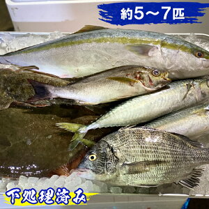 ふるさと納税 サバ その他の魚介類の人気商品 通販 価格比較 価格 Com