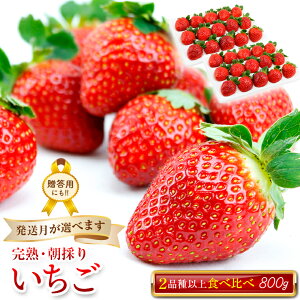 �y�ӂ邳�Ɣ[�Łz������ �t���[�c �ʕ� ���n �① �� 1�� 2�� 3�� 2026�N �������� ���̂� 2�i��ȏ� 400g 1�� 800g 2�� �H�ׂ���� ���Ԍ��� �G�ߌ��� ���ʌ��� �i�� �`�[�o�x���[ ����C�x���[ ���