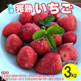 【ふるさと納税】いちご 完熟 冷凍 1kg 2kg 3kg 1袋 500g ストロベリー いちごやす農園 重量が選べる 期間限定 季節限定 数量限定