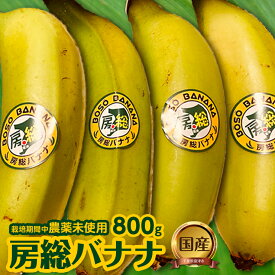 【ふるさと納税】バナナ 房総バナナ 800g 4～8本 農薬未使用 ★2024年6月～10月発送分★