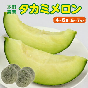 �y�ӂ邳�Ɣ[�Łz������ �^�J�~������ �M�� �� �t���[�c �ʕ� ���Y 2�� 3kg�ȏ� 4�`6�� ��5�`7kg �������� �l�C 2026�N ��s�\�� ��s��t ���Ԍ��� �G�ߌ��� ���ʌ��� �{ �� ���s�[�^�[ ���s�[