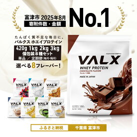 【ふるさと納税】プロテイン VALX ホエイプロテイン バルクス ホエイ 10000円 以内 1kg 2kg 3kg 420g 定期便 個包装 フレーバー 人気 国産 筋トレ トレーニング 美容 チョコレート ベリー ヨーグルト カフェオレ バナナ 抹茶 キャラメルマキアート ロイヤルミルクティー