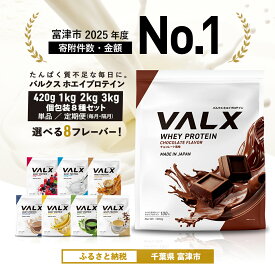 【ふるさと納税】【数量限定寄附額】VALX プロテイン 1kg 2kg 3kg 420g バルクス ホエイプロテイン 10000円 定期便 個包装 人気 国産 筋トレ トレーニング 美容 チョコレート ベリー ヨーグルト カフェオレ バナナ 抹茶 キャラメルマキアート ロイヤルミルクティー