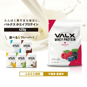 yӂ邳Ɣ[ŁzveC VALX zGCveC oNX zGC 420g  t[o[ lC Y ؃g g[jO tBbglX e N `R[g x[ [Og JtF