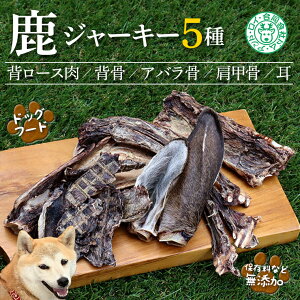 yӂ邳Ɣ[Łz hbOt[h ybg  VJ W[L[  ͂  [X w ΂  b  Zbg lߍ킹 l 3 5  VR 쐶  WrG 