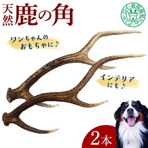 �y�ӂ邳�Ɣ[�Łz�� �y�b�g �� �� �V�J �p 1�{ 2�{ 10cm 15cm 20cm �������� ���^�� ���^�� ��^�� �����R ��������� �c�m �� ������ �C���e���A ���� �u���� �������� �V�R �쐶 �� �W�r�G ���Y ��