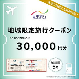 【ふるさと納税】千葉県浦安市　日本旅行 　地域限定旅行クーポン30,000円分 | 宿泊 チケット 人気 おすすめ 送料無料