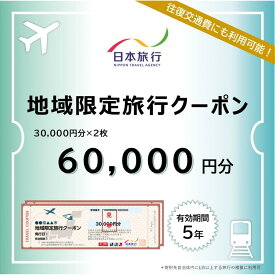 【ふるさと納税】千葉県浦安市　日本旅行 　地域限定旅行クーポン60,000円分 | 宿泊 チケット 人気 おすすめ 送料無料