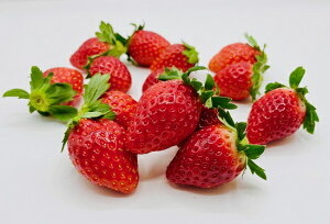 yӂ邳Ɣ[ŁzƂƂ 4pbN {B / OΔ_ / ƂƂ  C`S n ̂