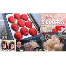 【ふるさと納税】シエルファーム いちごチケット 5000円分/ 苺 いちご