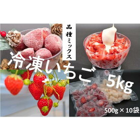 【ふるさと納税】シエルファーム 冷凍いちご 品種ミックス 5kg / 苺 千葉