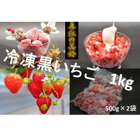 【ふるさと納税】シエルファーム 冷凍黒いちご 真紅の美鈴 1kg / 苺 いちご