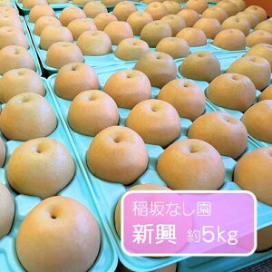 yӂ邳Ɣ[ŁzV 5kg /Ȃ /  Ȃ ʕ