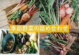 【ふるさと納税】農家キレド季節野菜の詰め合わせ / 旬 野菜 詰合せ セット
